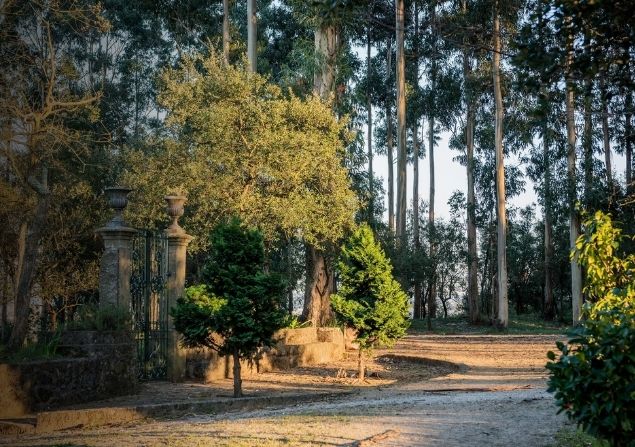 Recuperação de ex-libris de Mozelos vai custar €1,3milhões