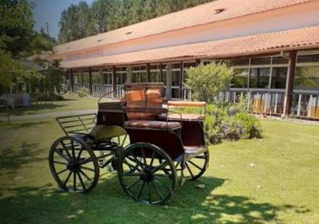 Junta de Freguesia de São João da Madeira prepara-se para gastar até €31.500 em Passeio Sénior