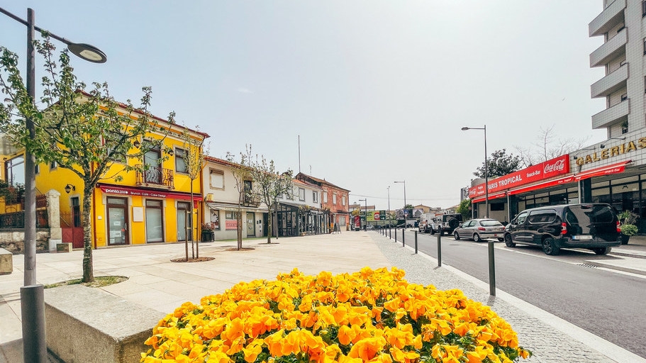 São João da Madeira e Arouca são os concelhos onde há um menor risco de morrer mais cedo?
